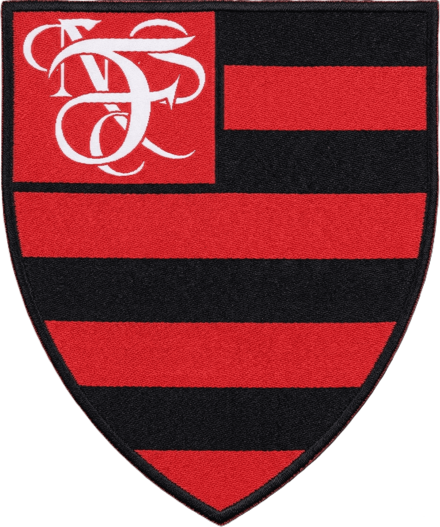 Logo NFSC